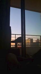 CasualYo24 webcam model stream image