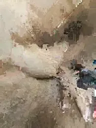 Elisha96 webcam model stream image