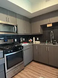 Bigbuttbrooklynn webcam model stream image