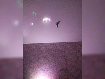 Danilovea webcam model stream image