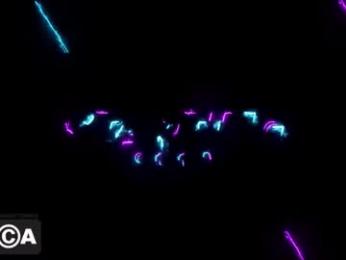 doodleman2077 webcam model stream image