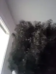 22orlando webcam model stream image