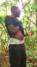 Hutchmansell webcam model stream image