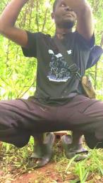 Hutchmansell webcam model stream image