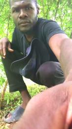 Hutchmansell webcam model stream image