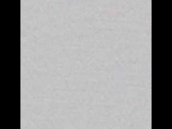 _tammarra_ webcam model stream image