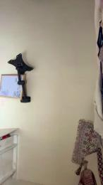 nicolet_ webcam model stream image