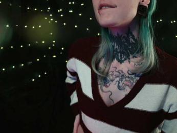 LittleSpaceMouse- webcam model stream image