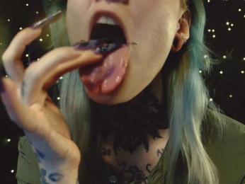 LittleSpaceMouse- webcam model stream image