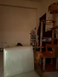 Ner0924_N webcam model stream image