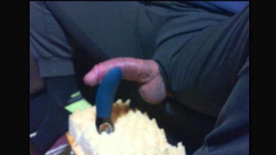 dogready webcam model stream image