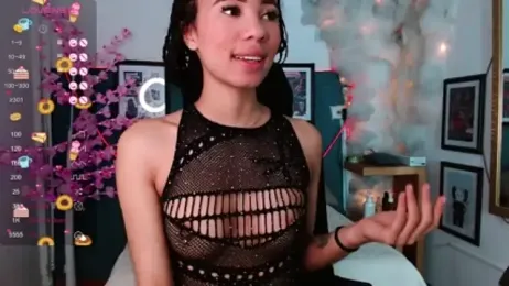 northly webcam model stream image