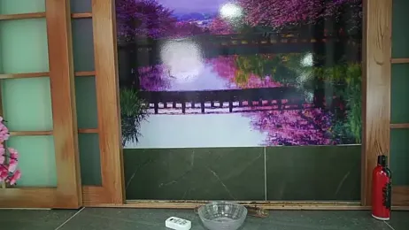 miss___anastasia webcam model stream image