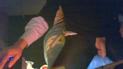 migiano155 webcam cam4 model stream image