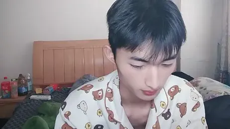 N228 webcam model stream image