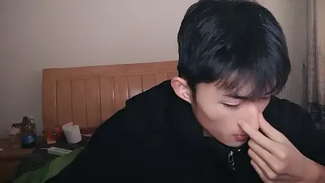 N228 webcam model stream image