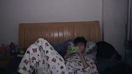 N228 webcam model stream image