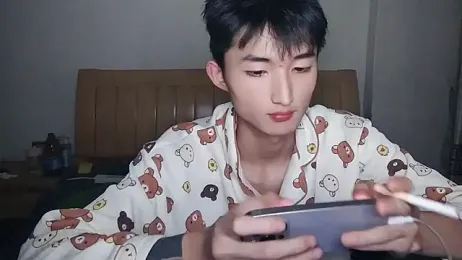 N228 webcam model stream image