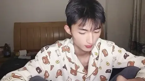 N228 webcam model stream image