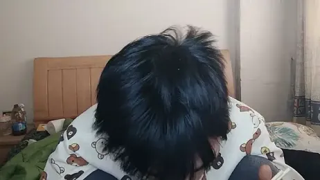 N228 webcam model stream image