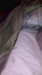 Scalareale66 webcam model stream image