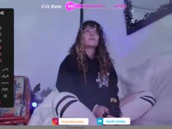 bandit_monkey webcam model stream image