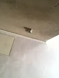 Lamborghiniasia webcam model stream image