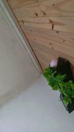 Nahiarabiel webcam model stream image