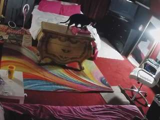 voyeurcam-baileybase-room webcam model stream image