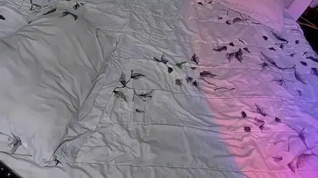 kyle_898 webcam model stream image