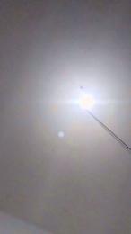 ElliPark webcam model stream image