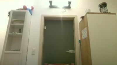 Krieger2022 webcam model stream image