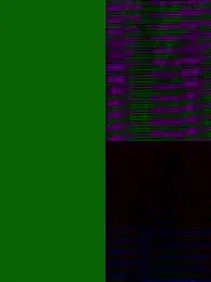 Saakoora webcam model stream image