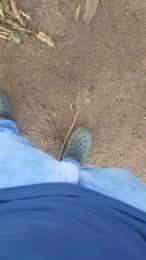 aly_pig_hot webcam model stream image