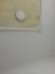 clarachanelricek webcam model stream image