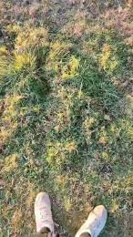 slipfun_sexy webcam model stream image